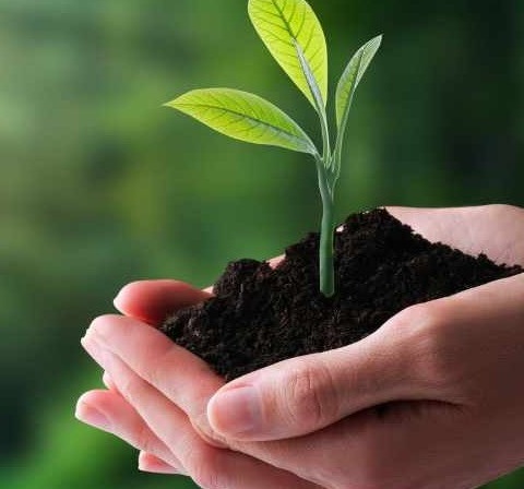 SOSTENIBILIDAD Y MEDIO AMBIENTE