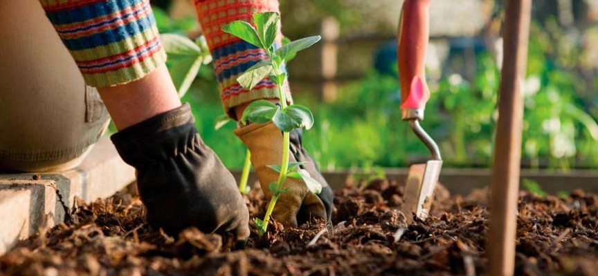 CURSO DE JARDINERÍA